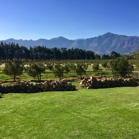 Olive Cottage Franschhoek Eksteriør billede