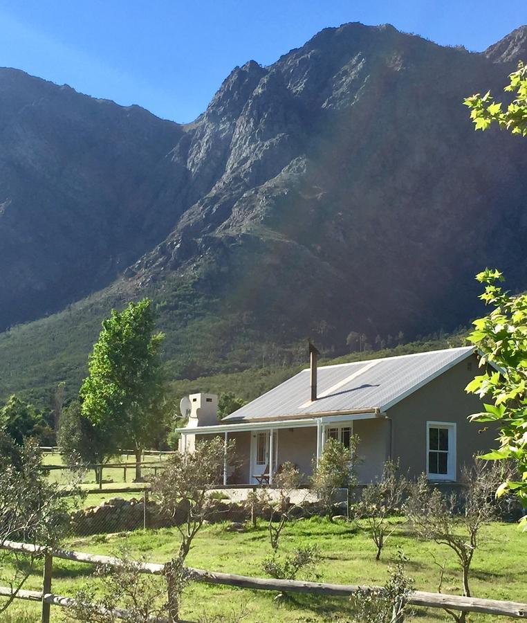 Olive Cottage Franschhoek Eksteriør billede
