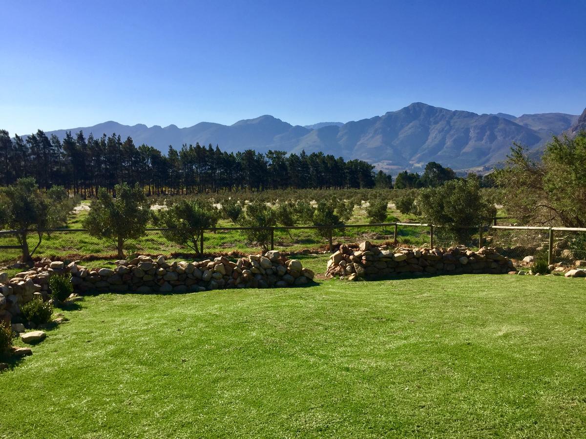 Olive Cottage Franschhoek Eksteriør billede